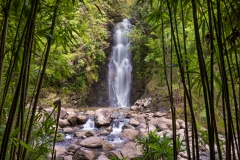 Bamboo Falls 1000